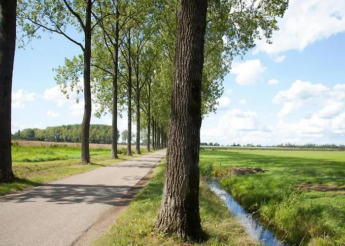 Vakantiehuis Tiny House By Dutch Waterfront Retreat